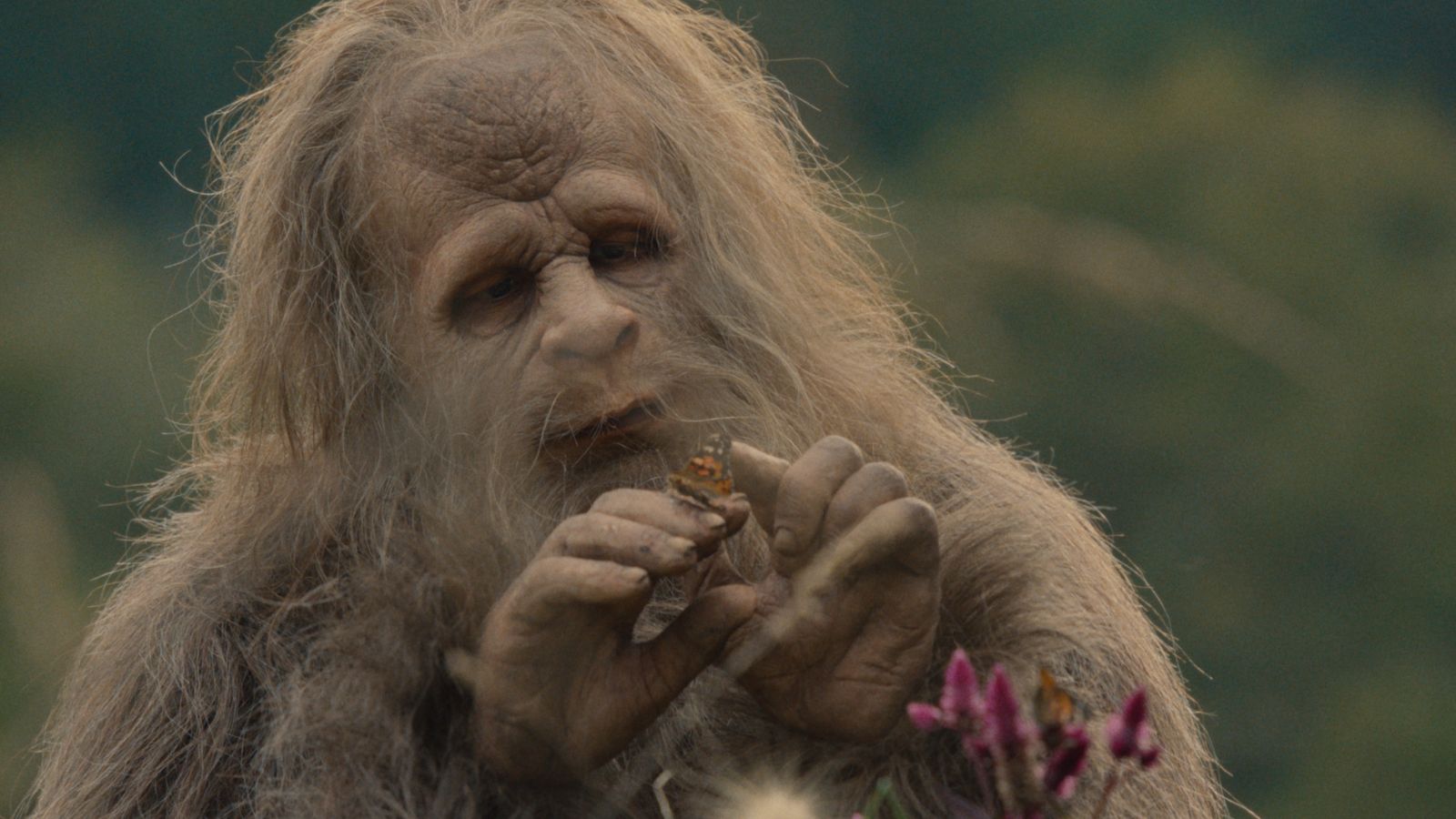 Sasquatch sunset